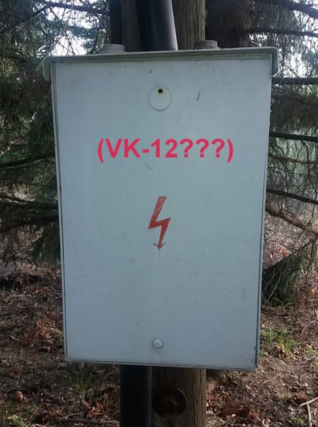 Mikro v lese