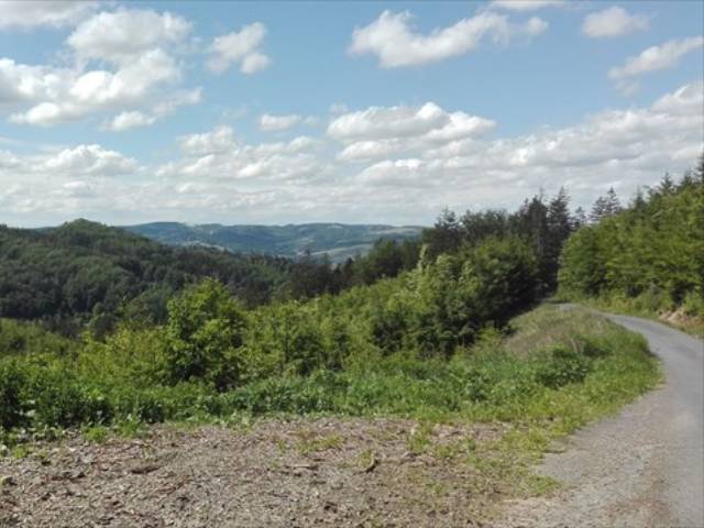 Foto z CITO VK 2020